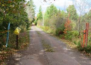 [img:fallgate09-small]